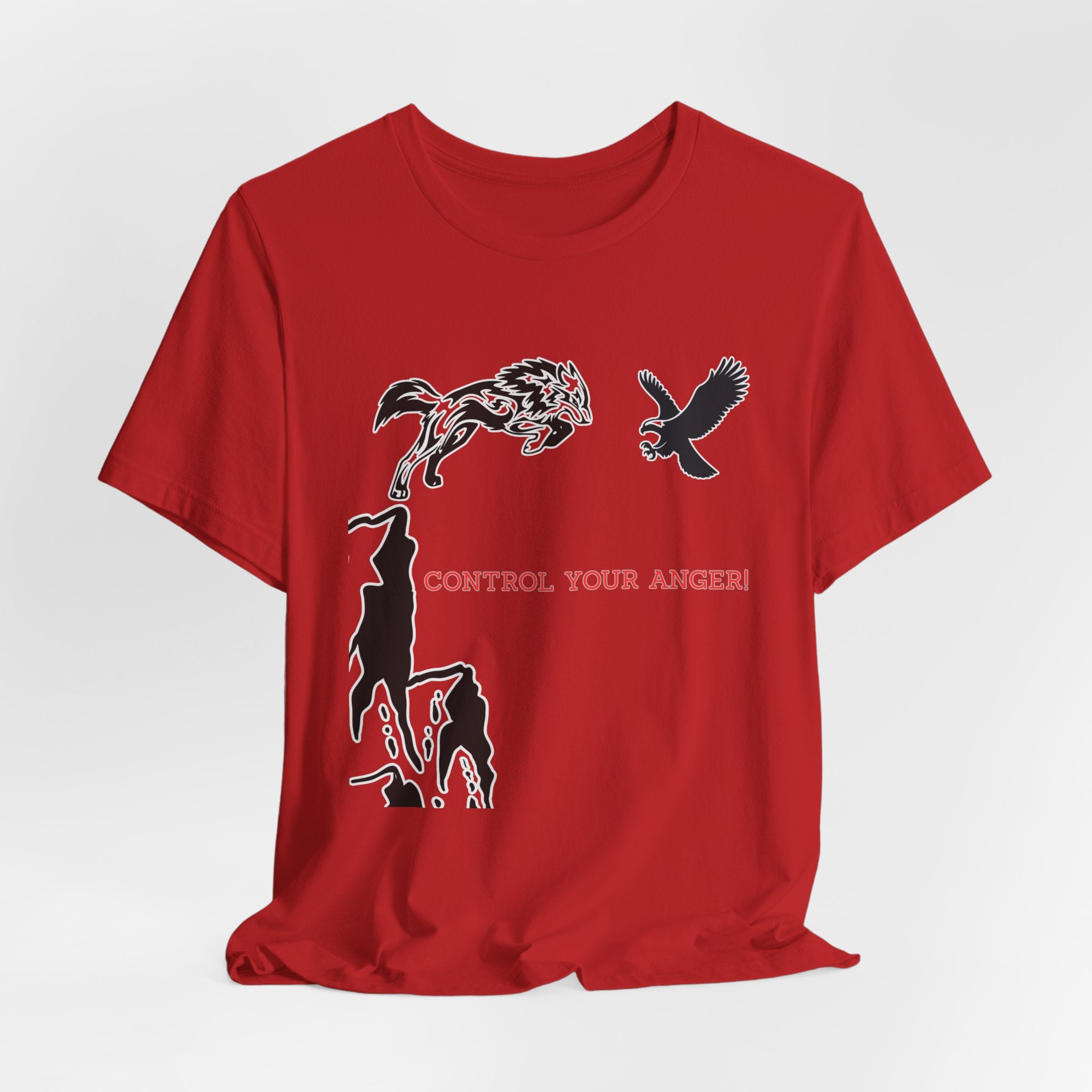 Control Your Anger T-Shirt – Motivational Mindfulness Unisex Tee