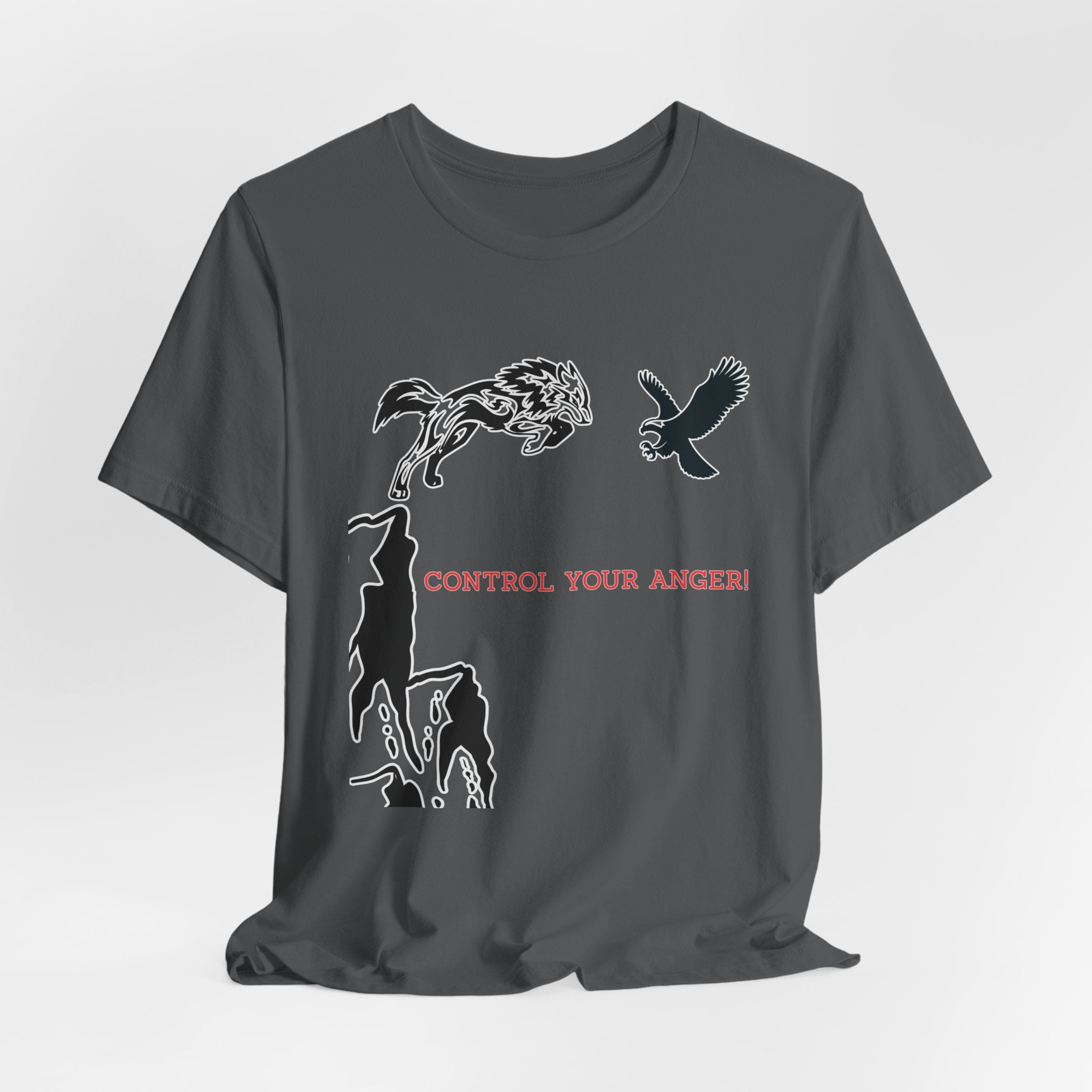 Control Your Anger T-Shirt – Motivational Mindfulness Unisex Tee