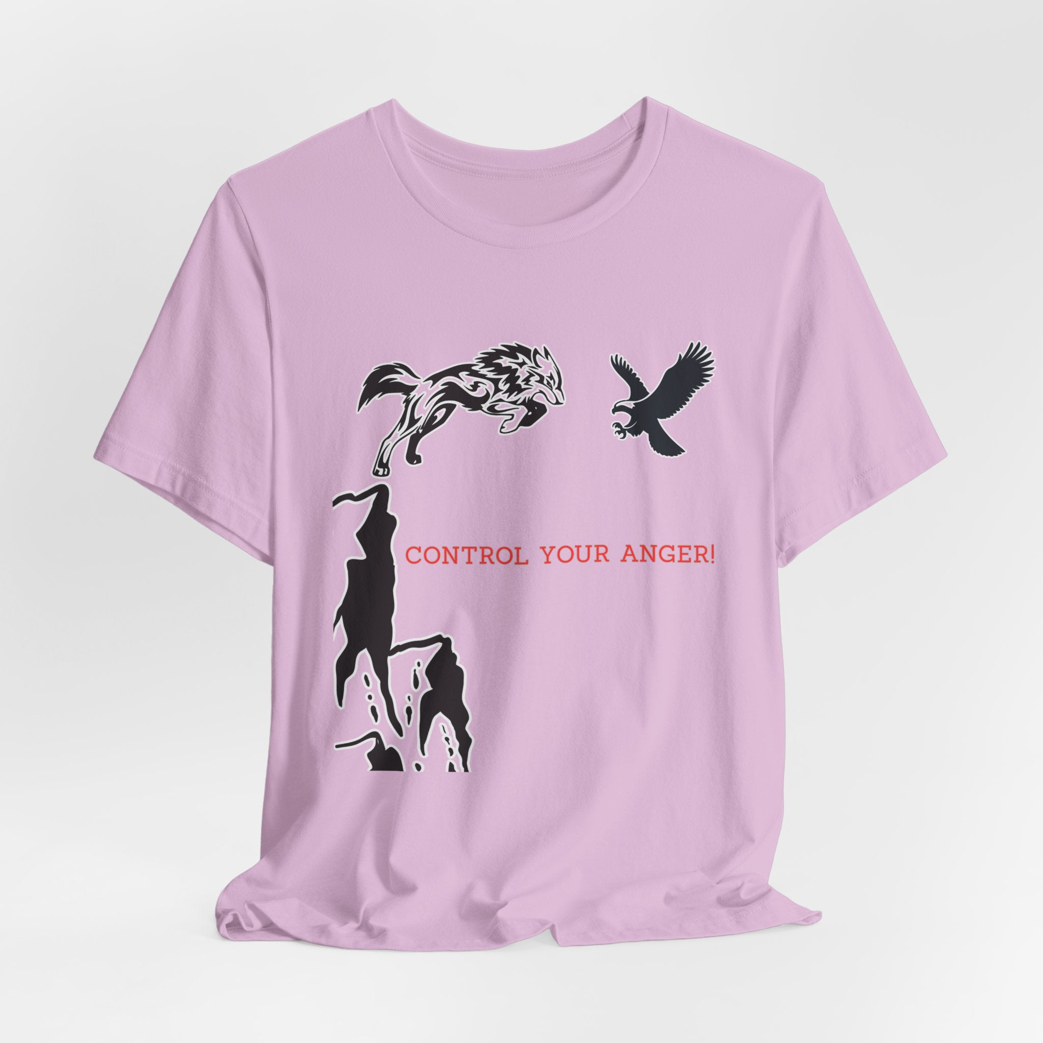 Control Your Anger T-Shirt – Motivational Mindfulness Unisex Tee