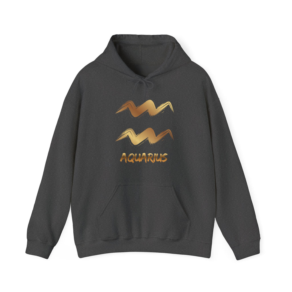 Grey hoodie with 'Aquarius' text & Symbol on a white background
