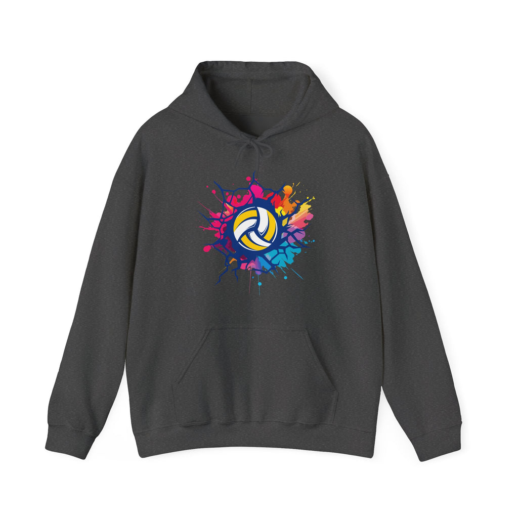 Dark gray hoodie with colorful volleyball design on a white background