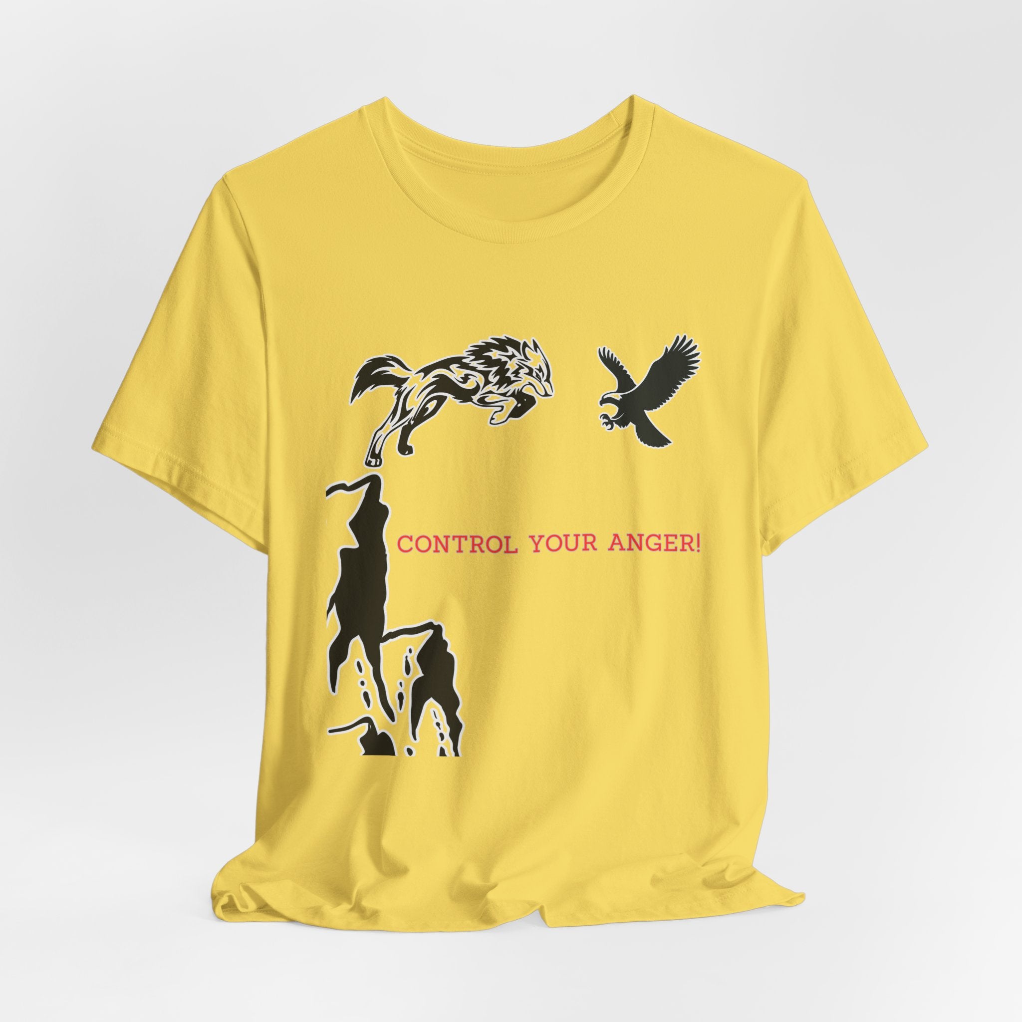 Control Your Anger T-Shirt – Motivational Mindfulness Unisex Tee