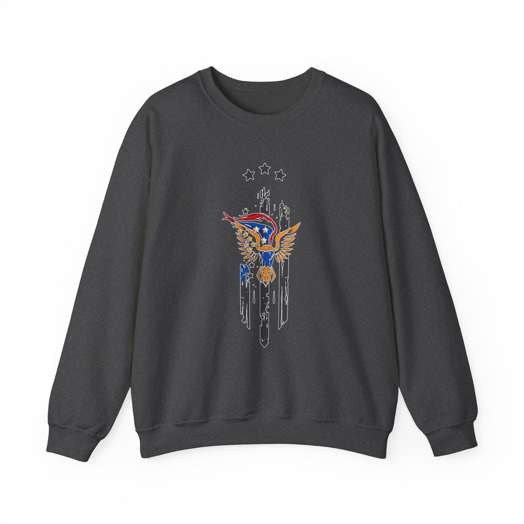 Dark gray sweatshirt with a colorful eagle design on a white background