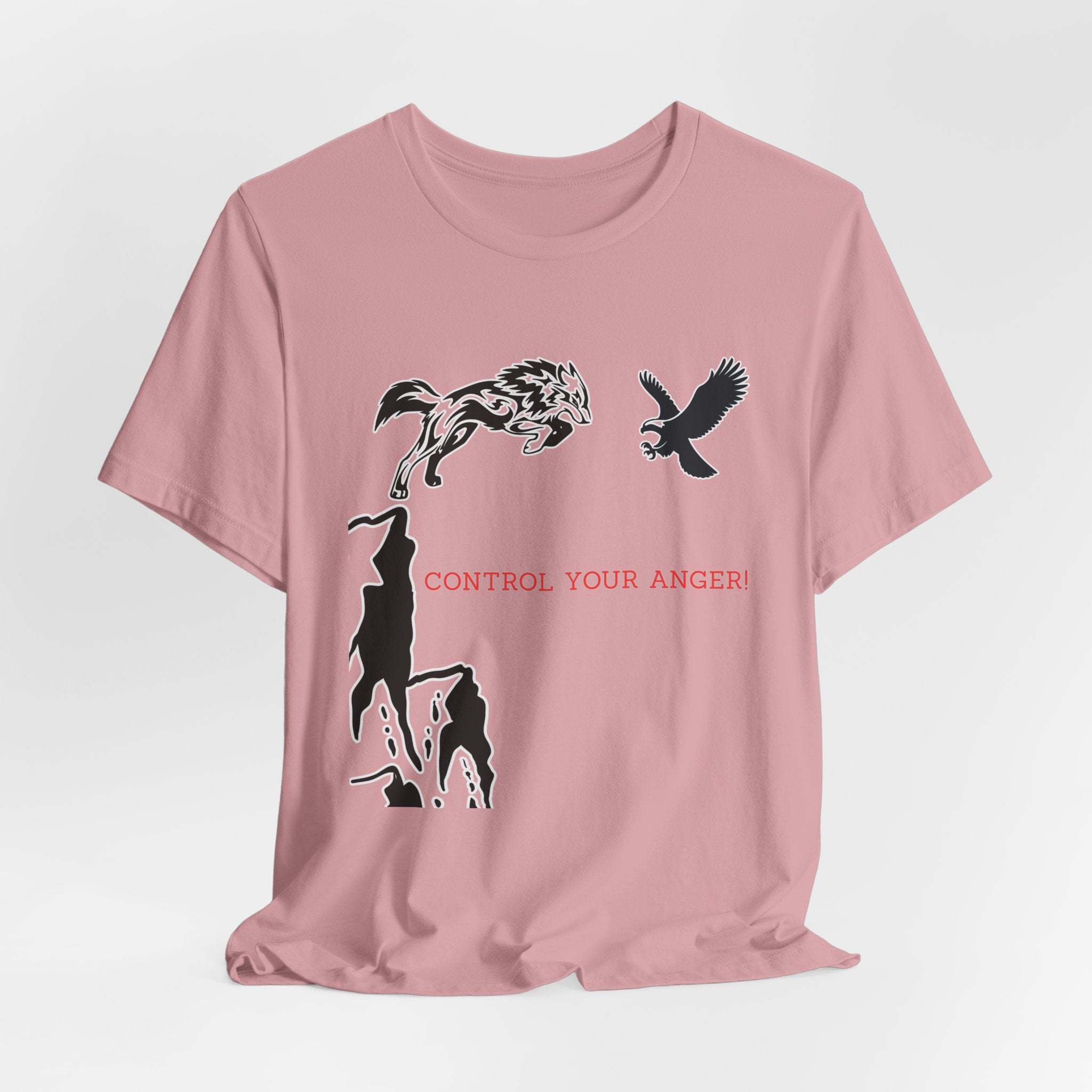 Control Your Anger T-Shirt – Motivational Mindfulness Unisex Tee