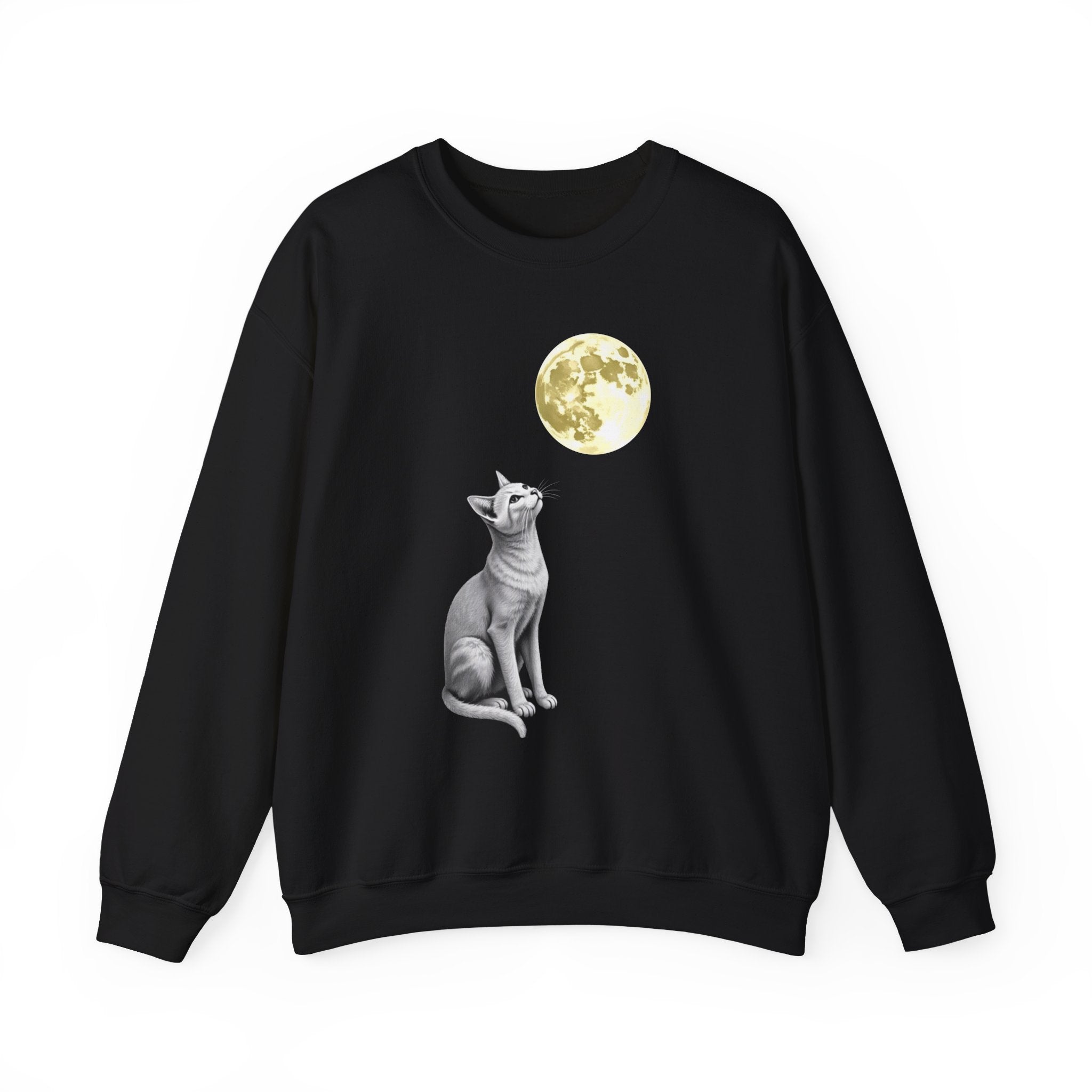 Black sweatshirt with a cat and moon graphic on a white background