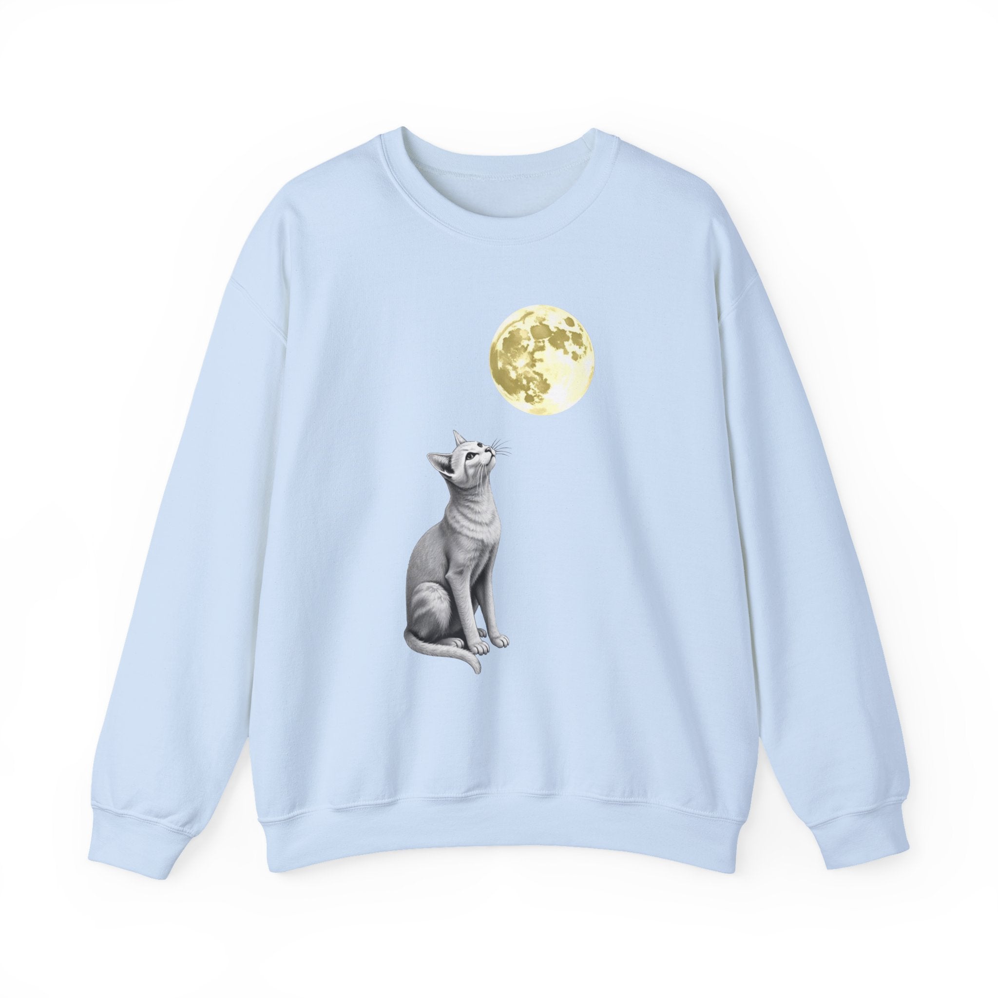 Light blue sweatshirt with a cat and moon graphic on a white background