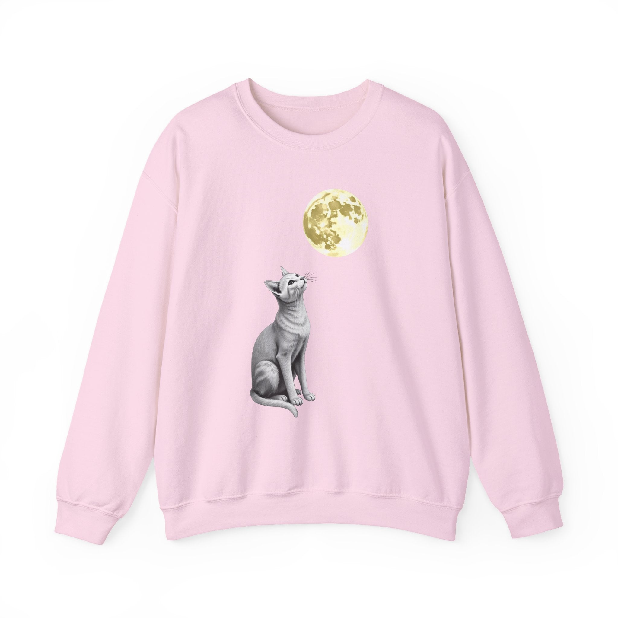 Light pink sweatshirt with a cat and moon graphic on a white background