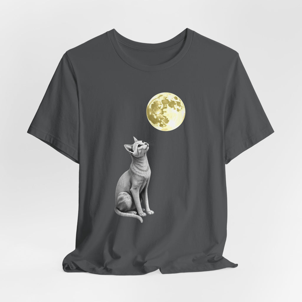 Asphalt gray t-shirt with a graphic of a cat and a full moon on a white background
