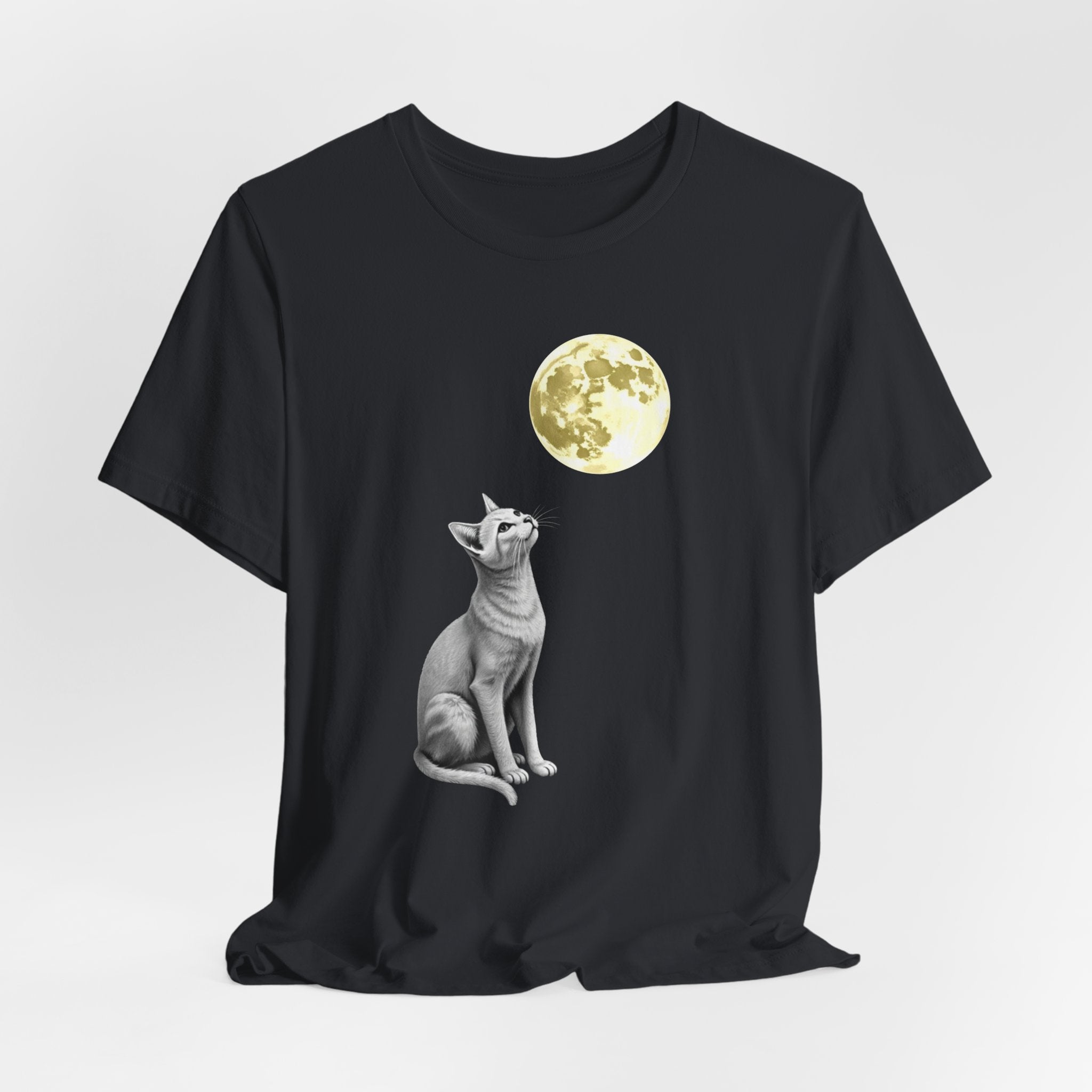 Vintage black t-shirt with a cat and moon graphic on a white background