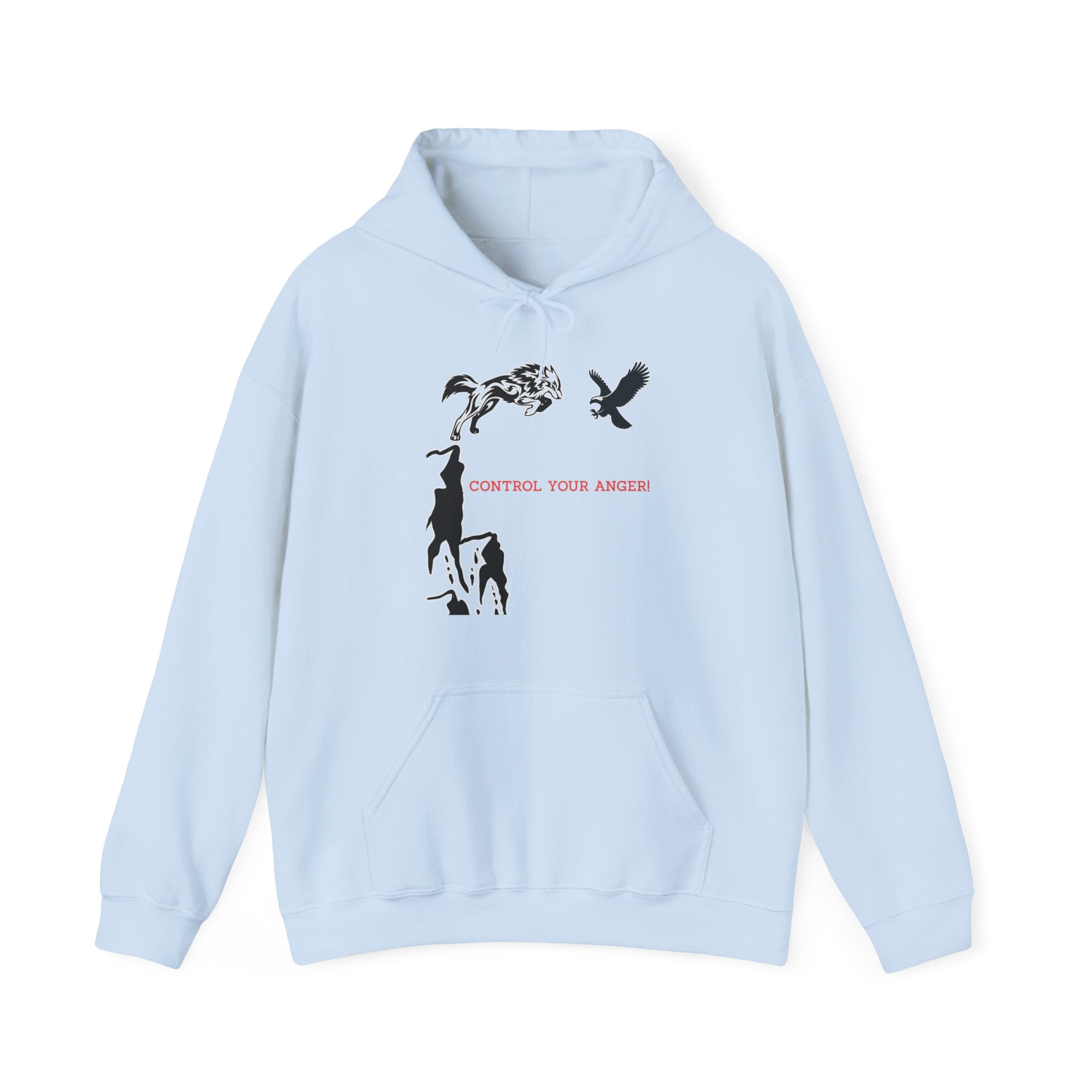Light blue hoodie with graphic design and text on a white background