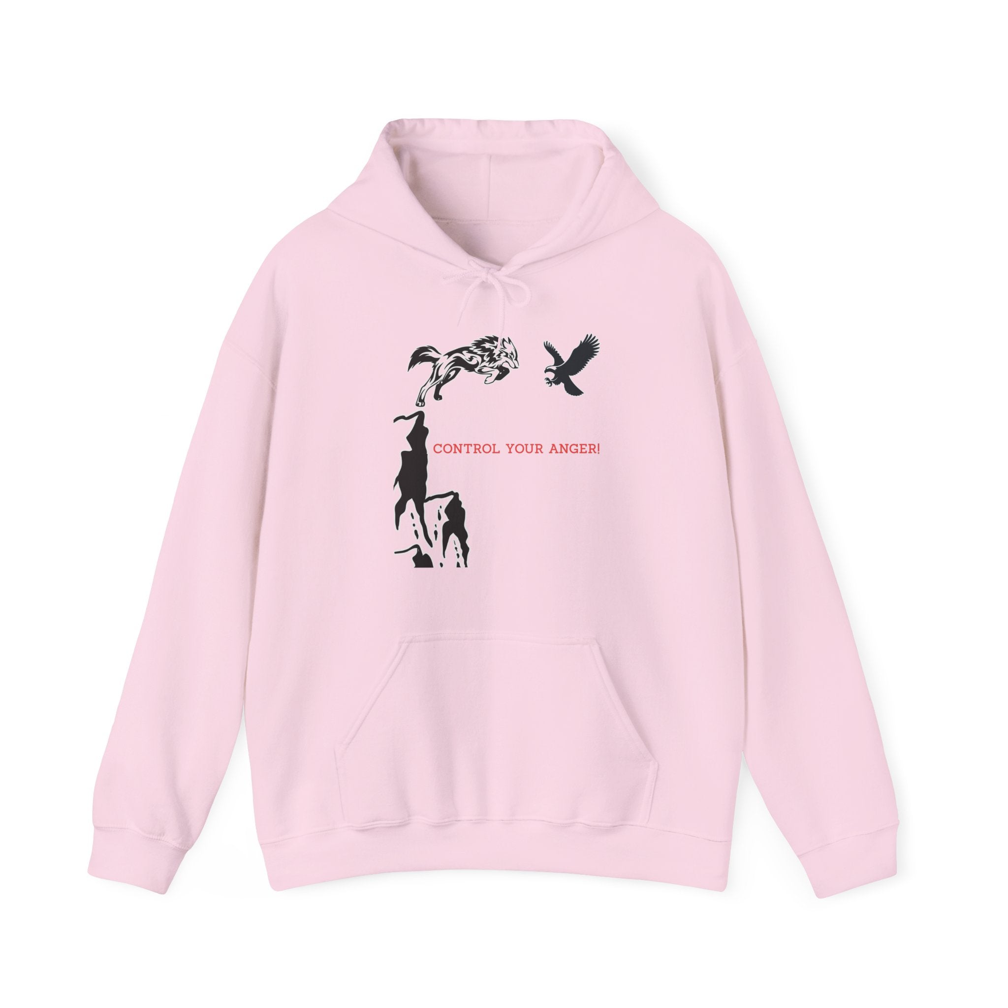 Pink hoodie with graphic design and text on a white background