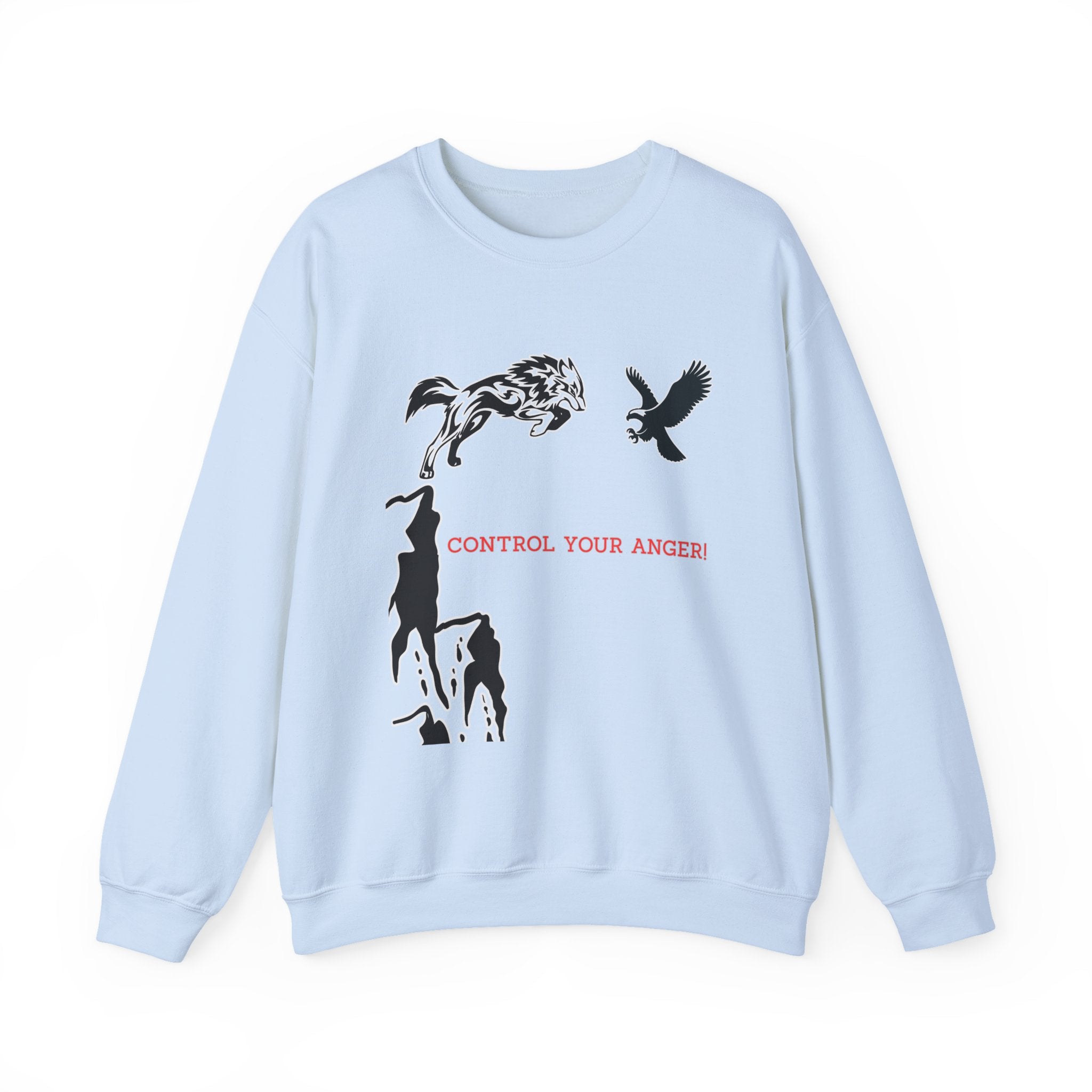 Light blue sweatshirt with graphic design and text 'Control Your Anger!' on a white background