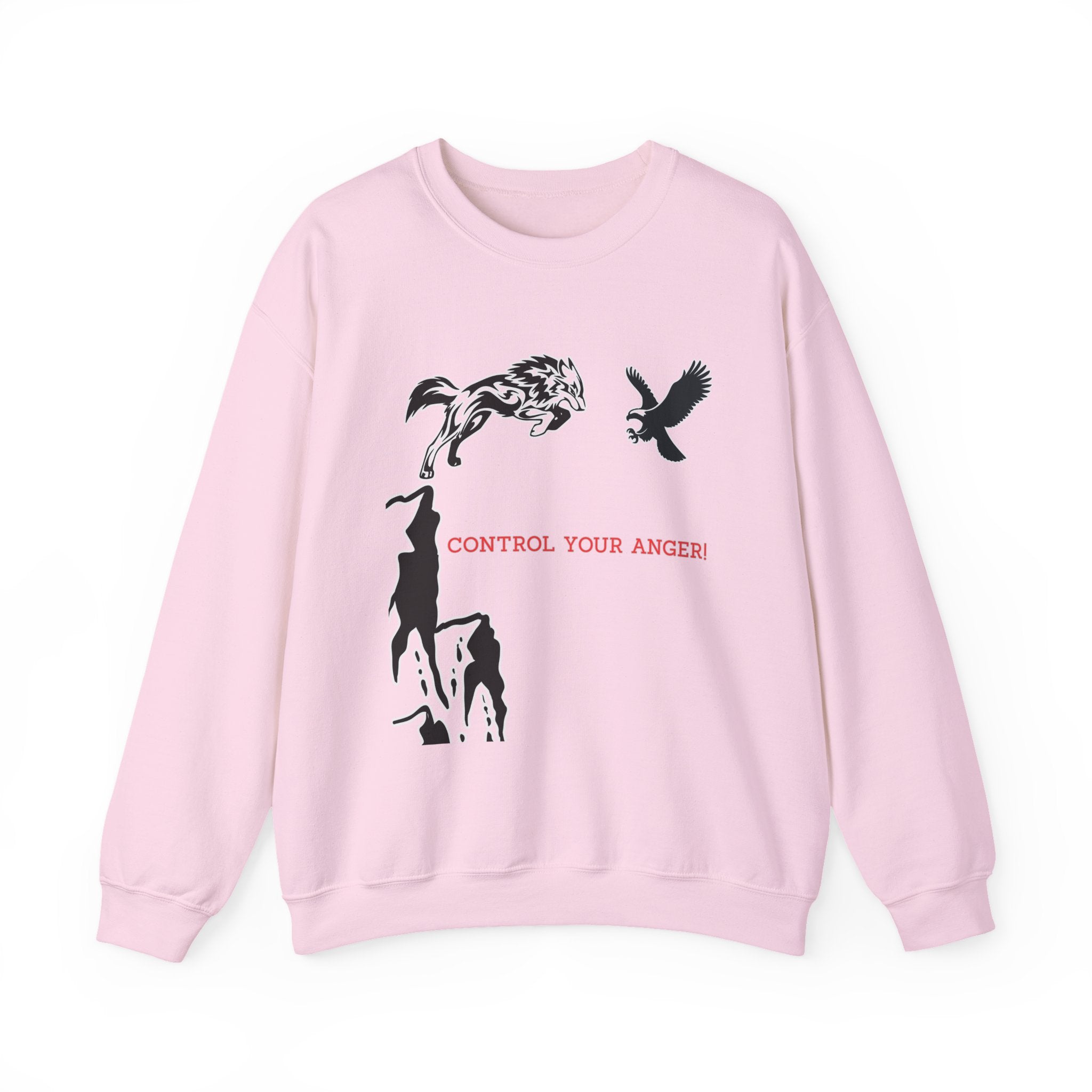 Light pink sweatshirt with black graphics and text on a white background