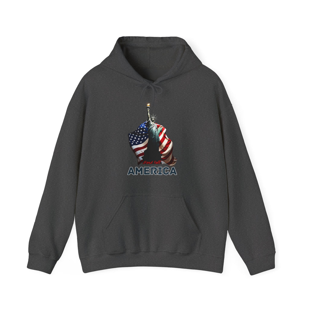 Dark gray hoodie with a graphic design of the Statue of Liberty and American flag at the back and stand tall America text on a white background