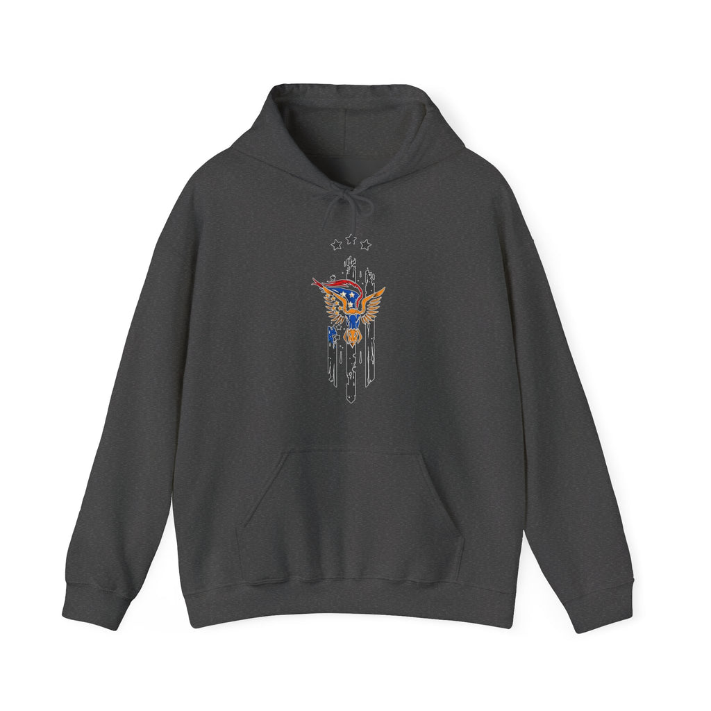 Dark gray hoodie with a graphic design of bull and wing with stars on a white background