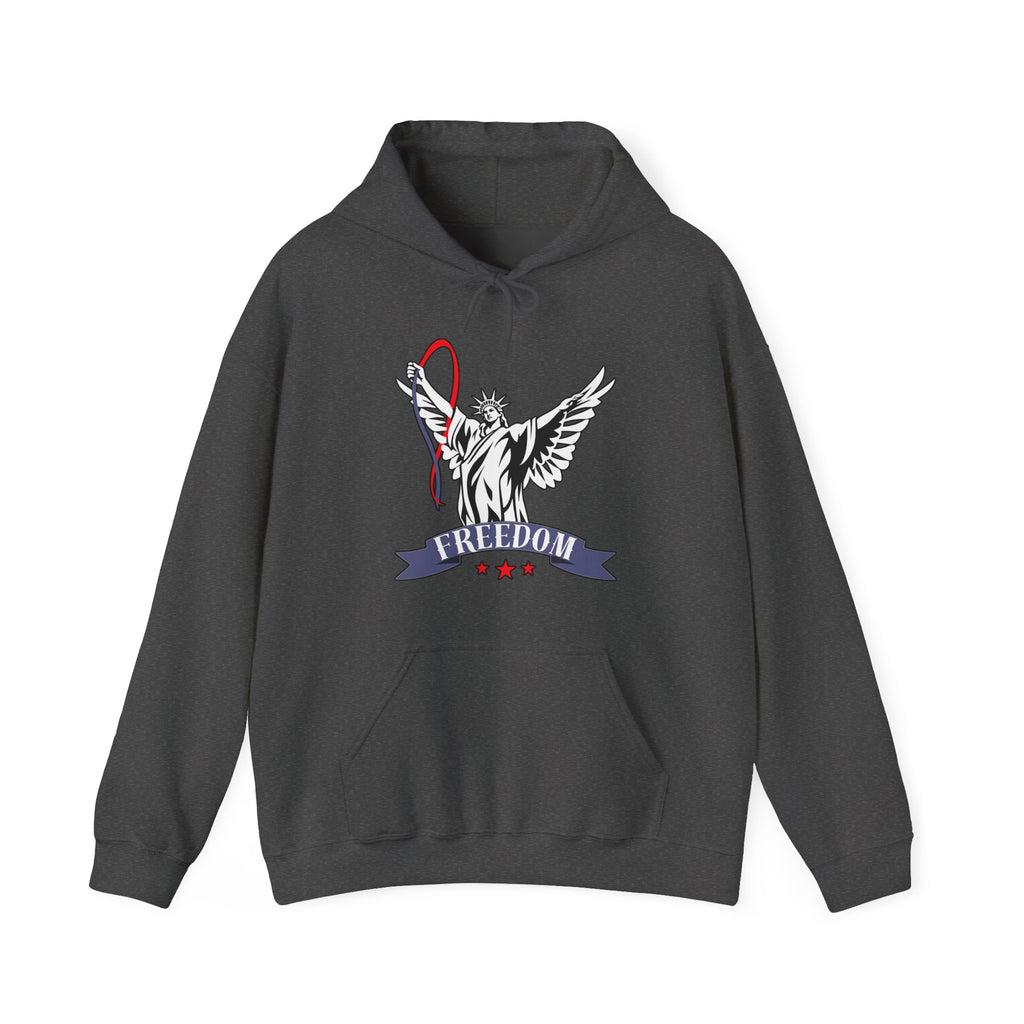 Dark gray hoodie with a graphic of statue of liberty with wings design and freedom text on a white background