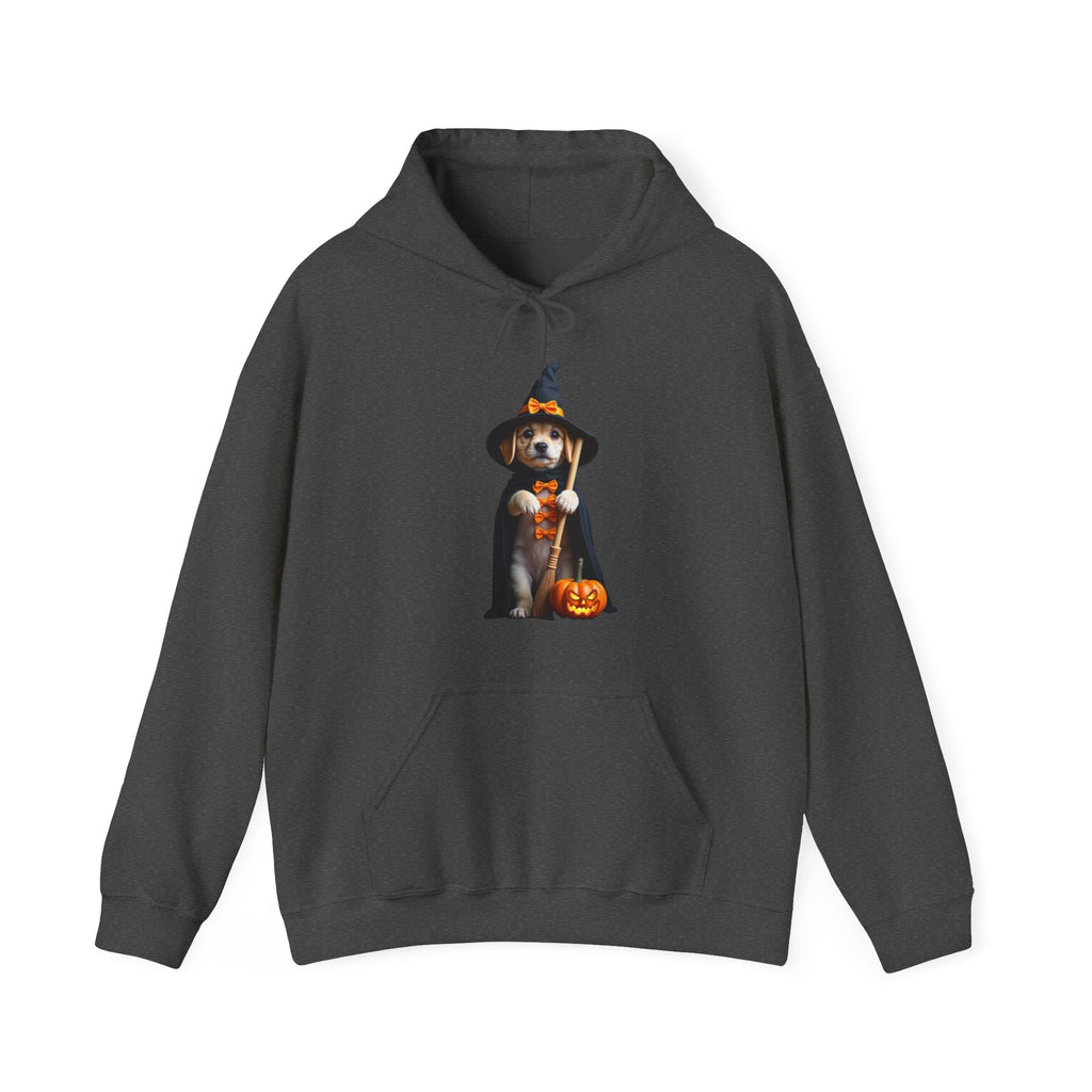 Dark gray hoodie with a dog wearing a witch hat and holding a pumpkin design on a white background