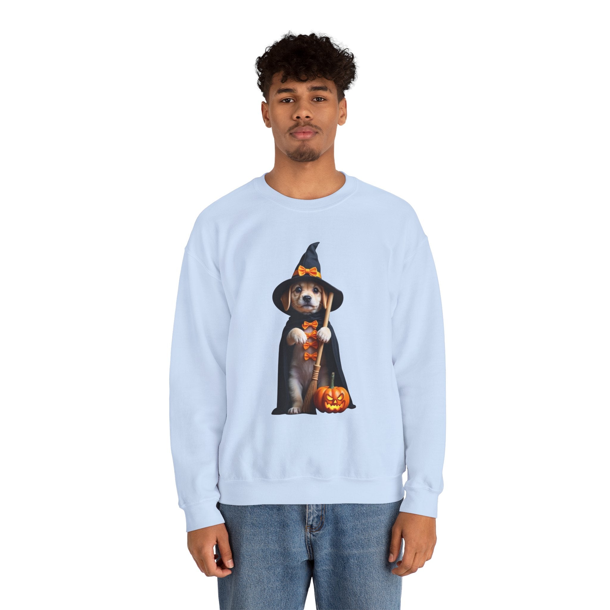 Person wearing a light blue sweatshirt with a Halloween-themed graphic of a dog in a witch costume.